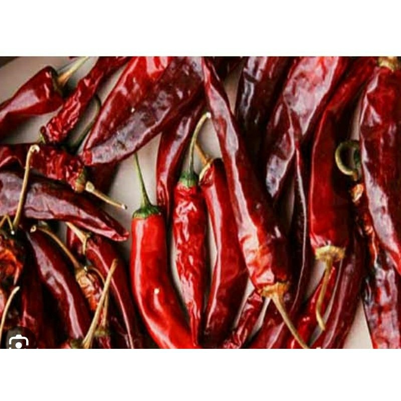 cabe kering besar ll cabe kering tanjung kualitas super tanpa tangkai