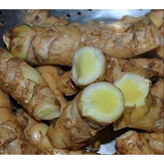 

Temu mangga fresh segar 1 kg