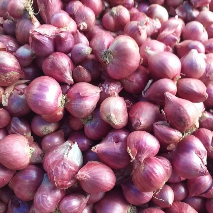 

Promo bawang merah bima - 0,5 kg