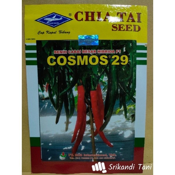 Cabe Besar Cosmos 29 F1 Cabe Besar Hibrida Kemasan 10gr Original Pabrik Cap Kapal Terbang