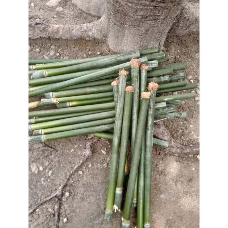 

obor bambu 4 pcs obor pawai malam ..
