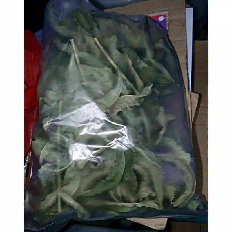 

Bisa cod Daun sungkai herbal kering 40 gram NY