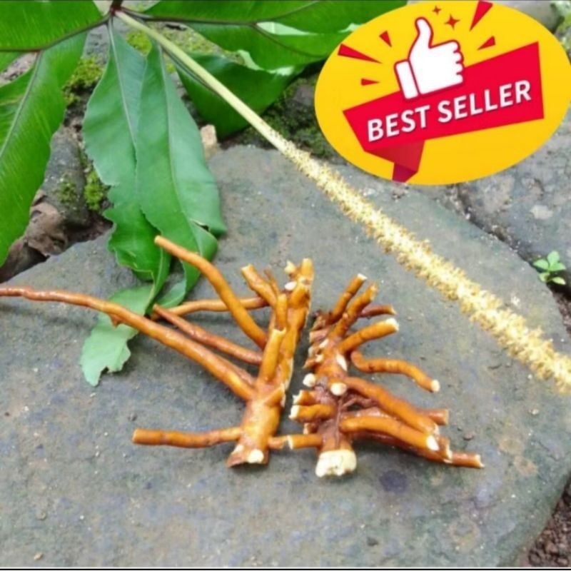 

Bisa cod Akar Tunjuk Langit Segar 100g