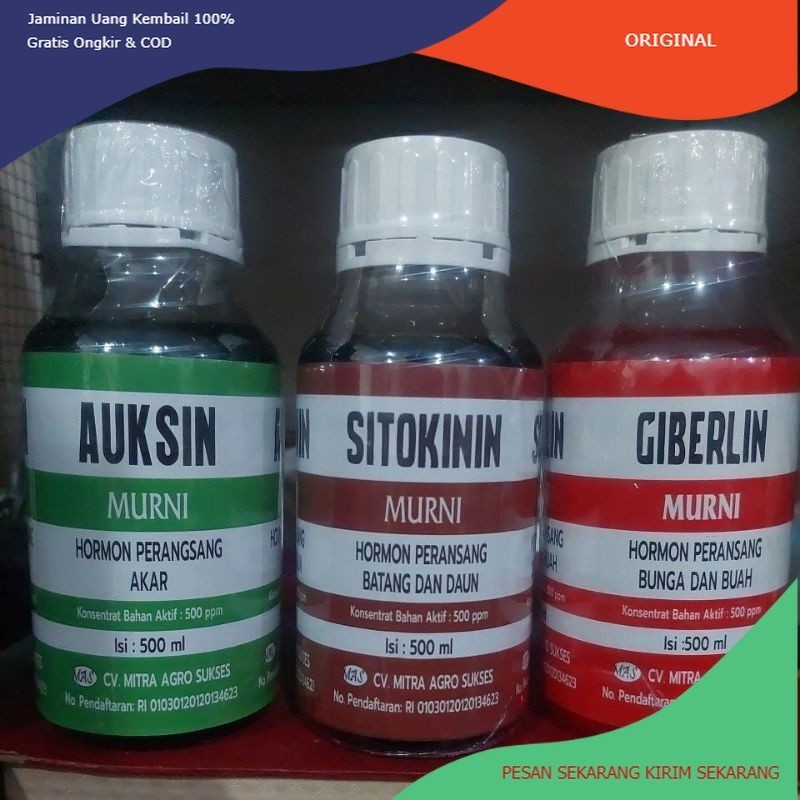 HORMON ZPT AUKSIN SITOKININ GIBERLIN KEMASAN 500ML