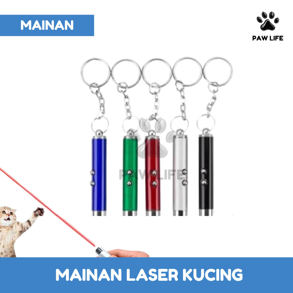 PL Lampu Laser Ponter Senter Mainan Kucing Gantungan Kunci