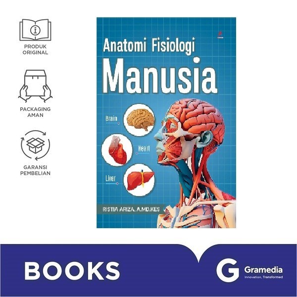 Anatomi Fisiologi Manusia