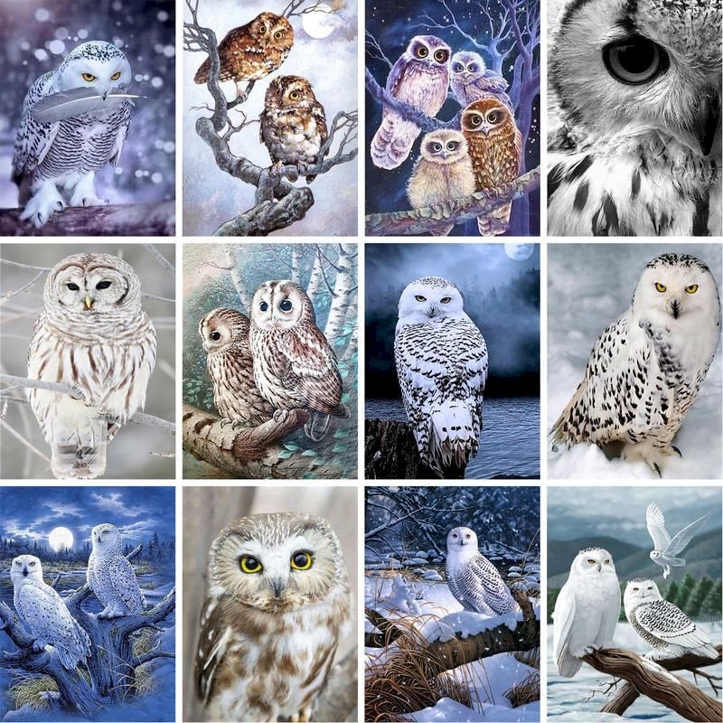 

Acrylic Diy Painting By Numbers Kits Owl Animals Acrylic Paint On Canvas Drawing Coloring By Numbers For Diy Gift