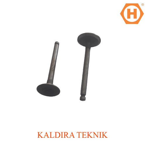 PROMO CUCI GUDANG - Valve In& Ex Mesin Diesel YANMAR TF 105