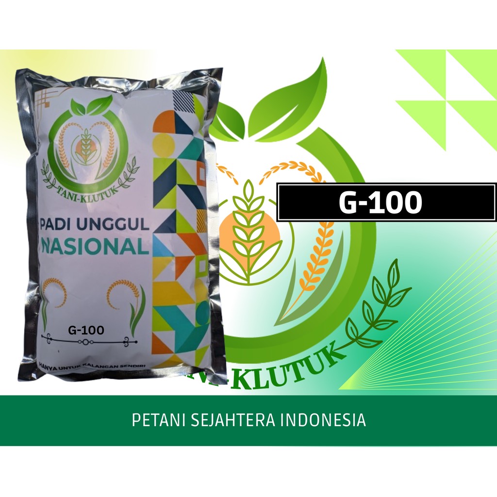 BIBIT/ Benih padi gandaria G100 1kg ORIGINAL PRODUK