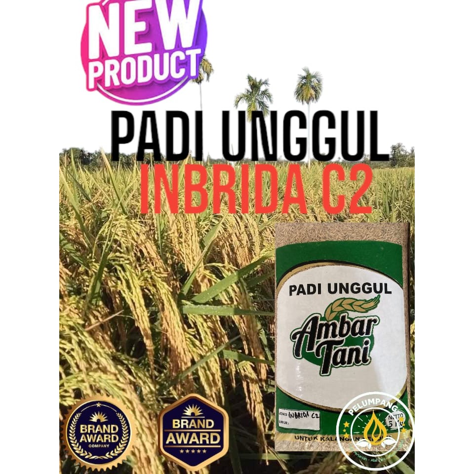 PADI DAN BENIH PADI Benih padi inbrida C2 kemasan 5kg original