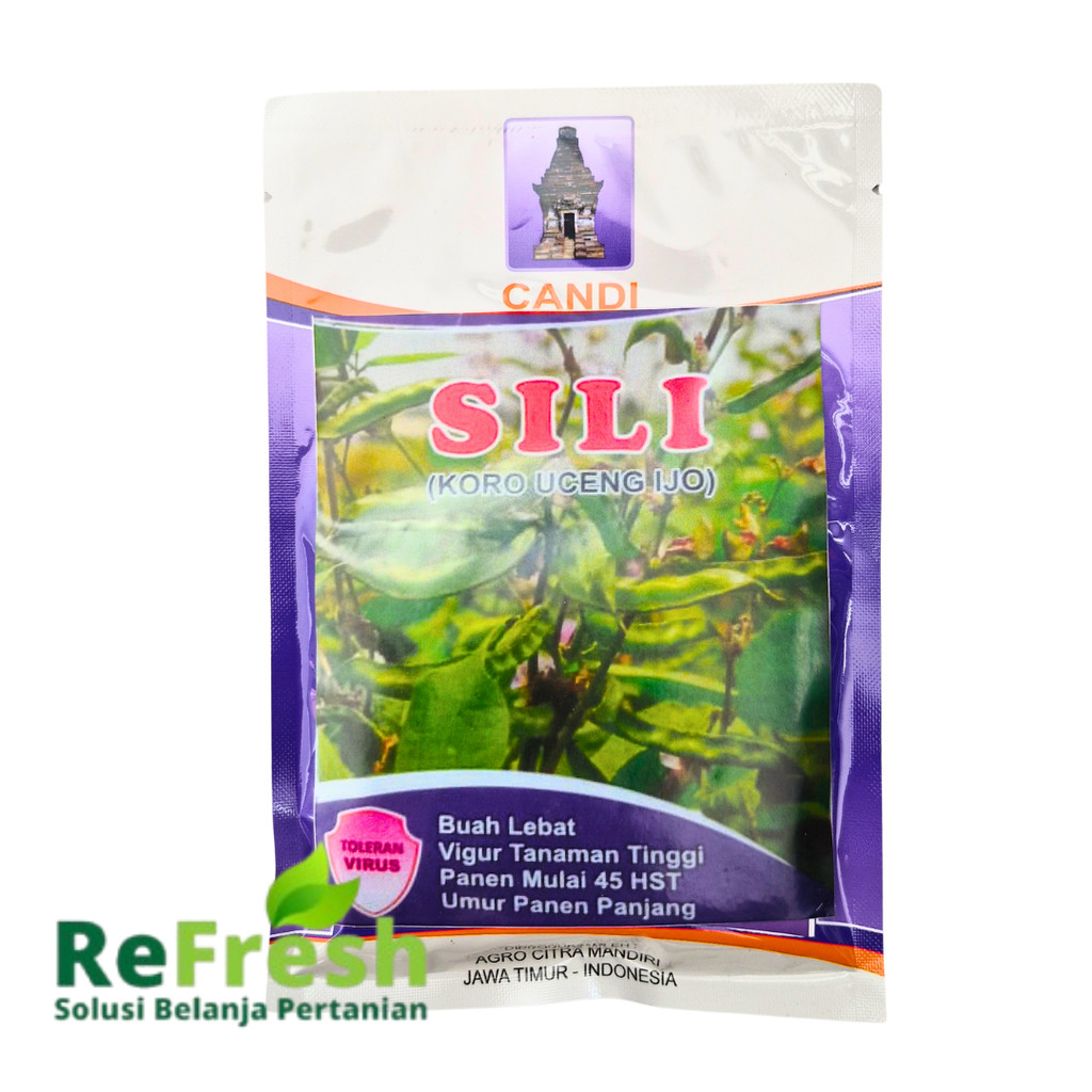 Sili Benih Koro Uceng Ijo 50gr - Hasil Melimpah dan Cepat Panen