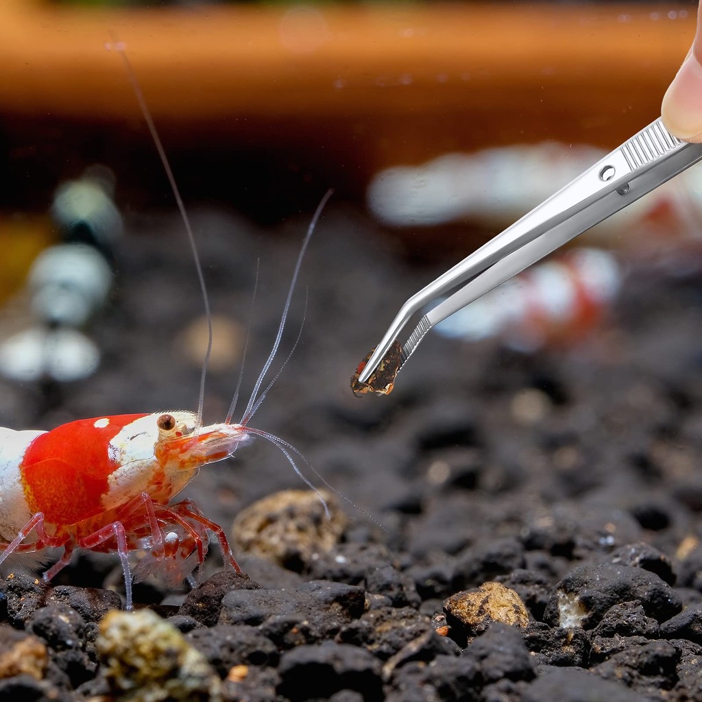 Pinset Aquascape Stainnless Pinset Panjang Aquascape Pinset Tweezers Aquascape