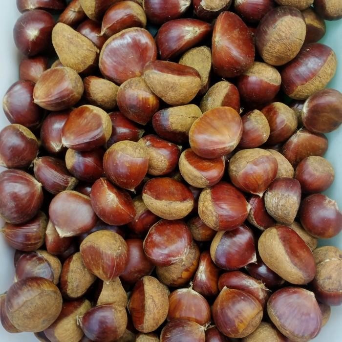 

Kacang Chestnut Korea mentah 1kg