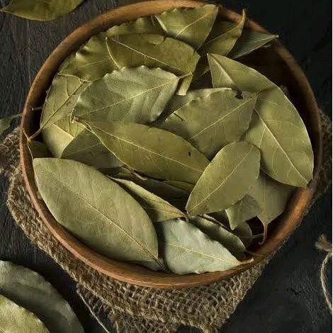 

Daun Salam Murni Kering 500 Gram