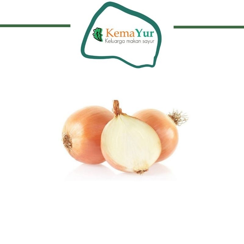 

BAWANG BOMBAY 500GR MURAH