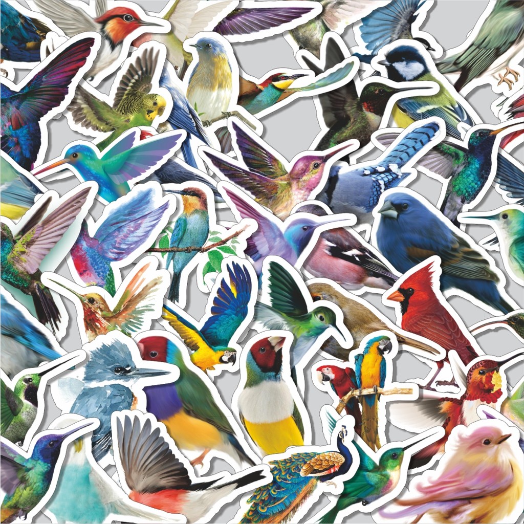 

Stiker Cutting Pack Stiker Colorful Birds Series [Seri Burung Berwarna-warni] Isi 100Pcs Series Aesthetic Lucu Keren Untuk Koper Bahan Vynil