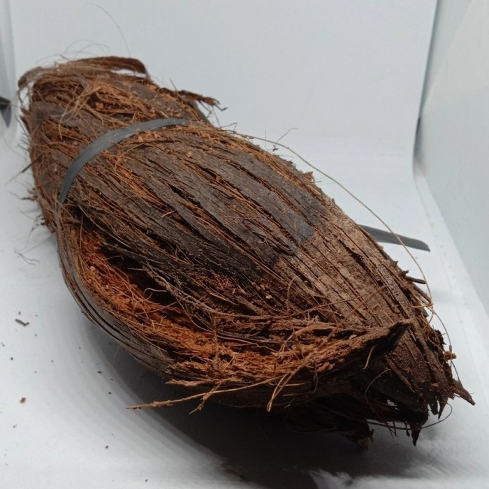 media tanam serabut kelapa/media tanam anggrek tapas sabut kelapa