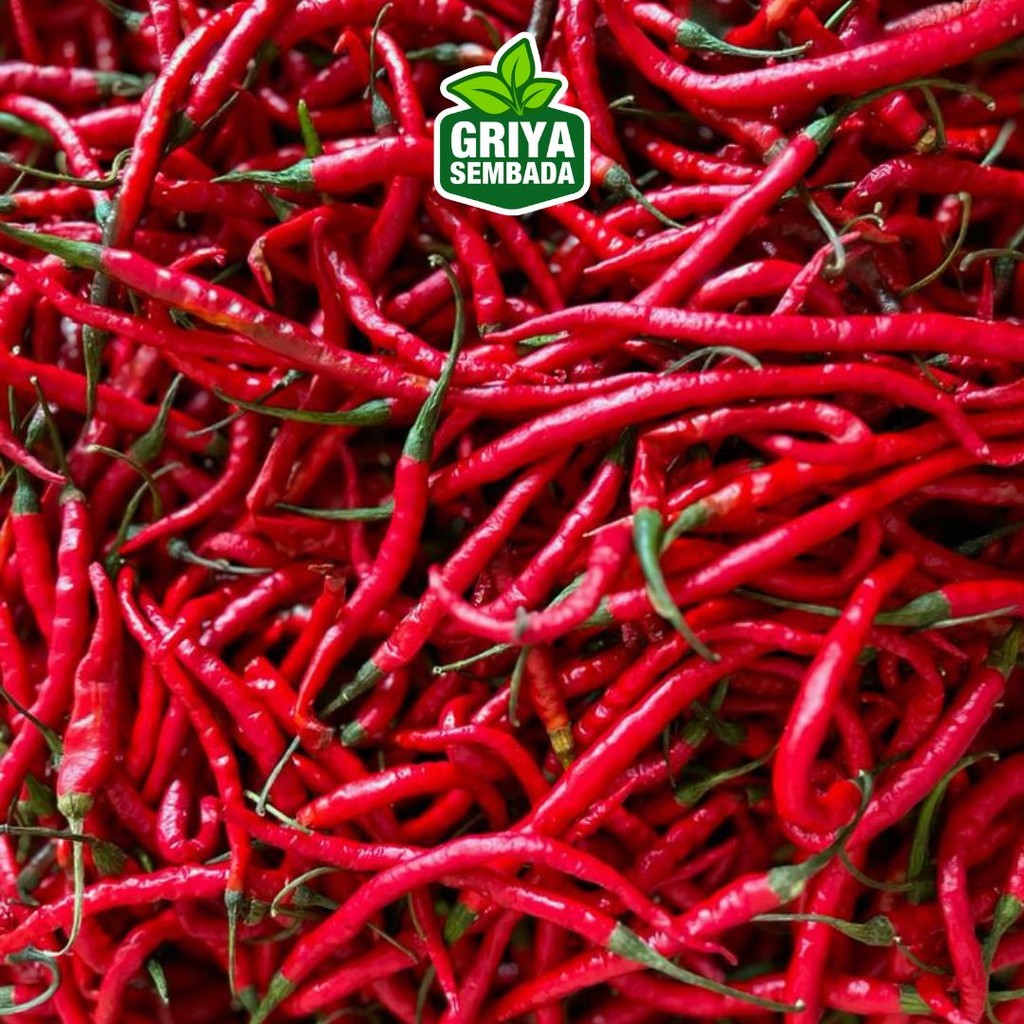 

Cabai / Cabe Merah Kriting 250gr - Griya Sembada Kirim Instant /Sameday/Grabfood