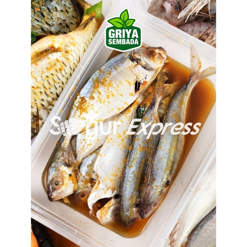 

Kirim Instan Ikan Selar Bumbu Kuning 250gr Isi 6-8 Ekor Griya Sembada