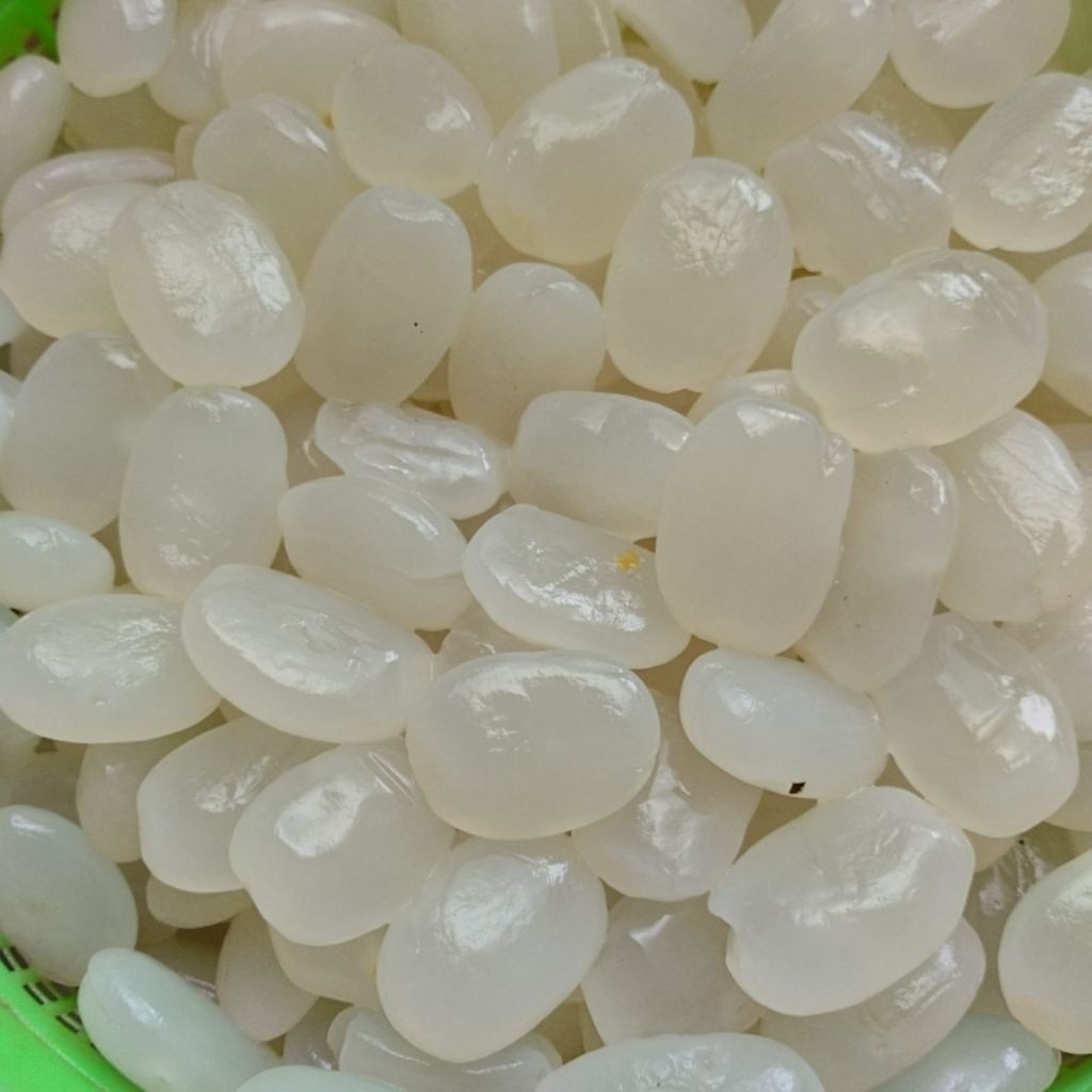 

Kolang Kaling Segar dan Super Jumbo 1kg