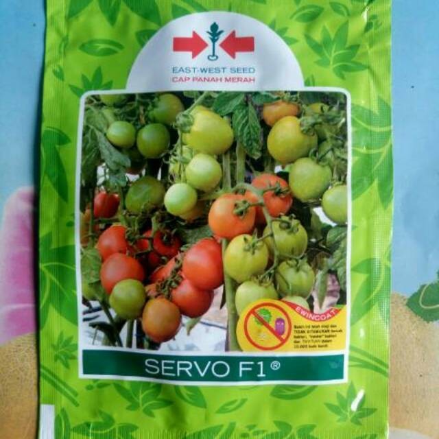 Benih Bibit Tomat Tahan Virus SERVO F1 1750 Biji