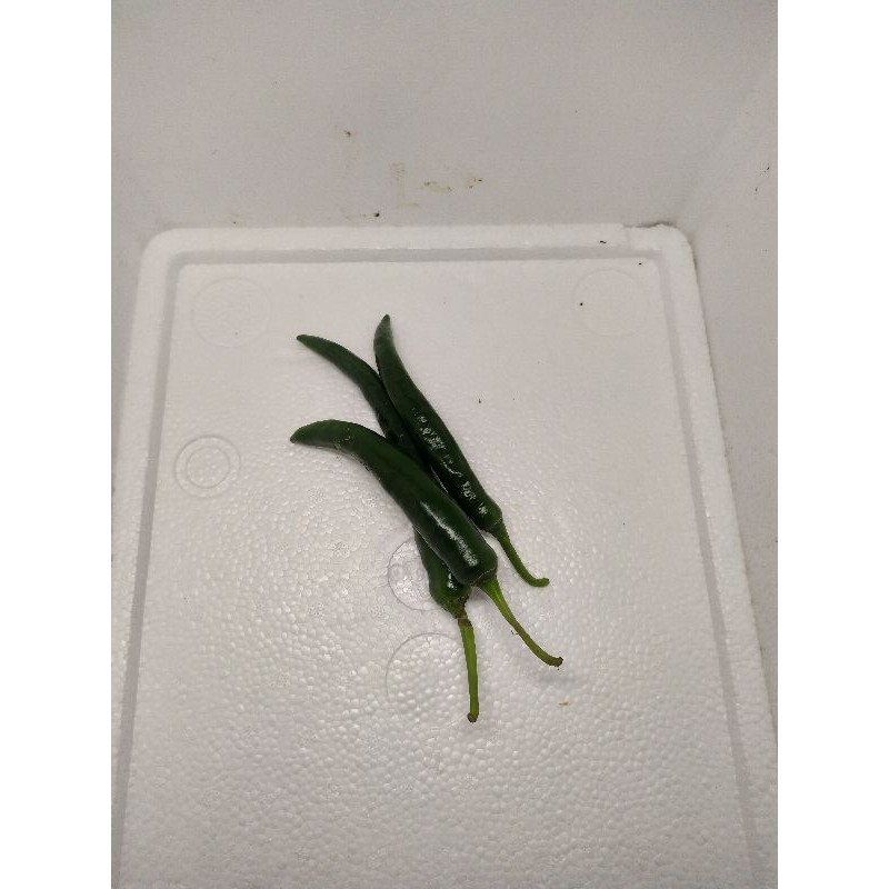 

cabe hijau besar 250 gram