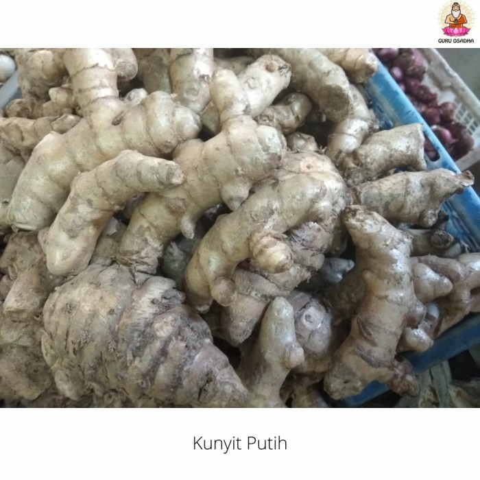 

Kunyit putih - 1Kg - GuruOsadha