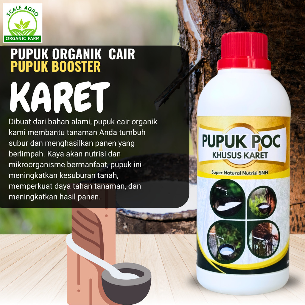 pupuk memperbanyak getah karet, pupuk untuk pohon karet, pupuk karet mati getah