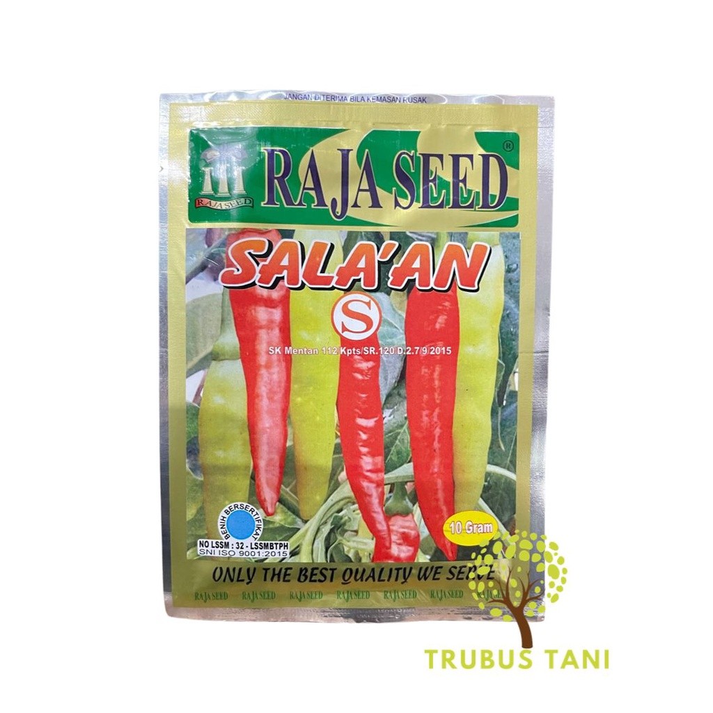 Benih Cabe Rawit Setan SALAKAN SALA’AN 10 Gram - raja seed rawit merah