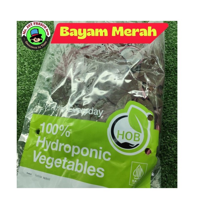 

Sayur TangSel tanpa bahan kimia Bayam Merah Hidroponik Organik Segar 100% Organic Hydroponic Vegetables 200 gram TangSel