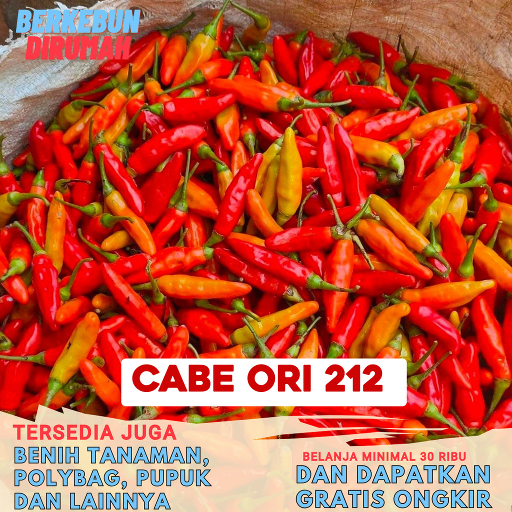 Benih Cabai Rawit ORI 212 Jumbo Bibit Sayuran Cabe Rawit Merah Cap Aura Seed