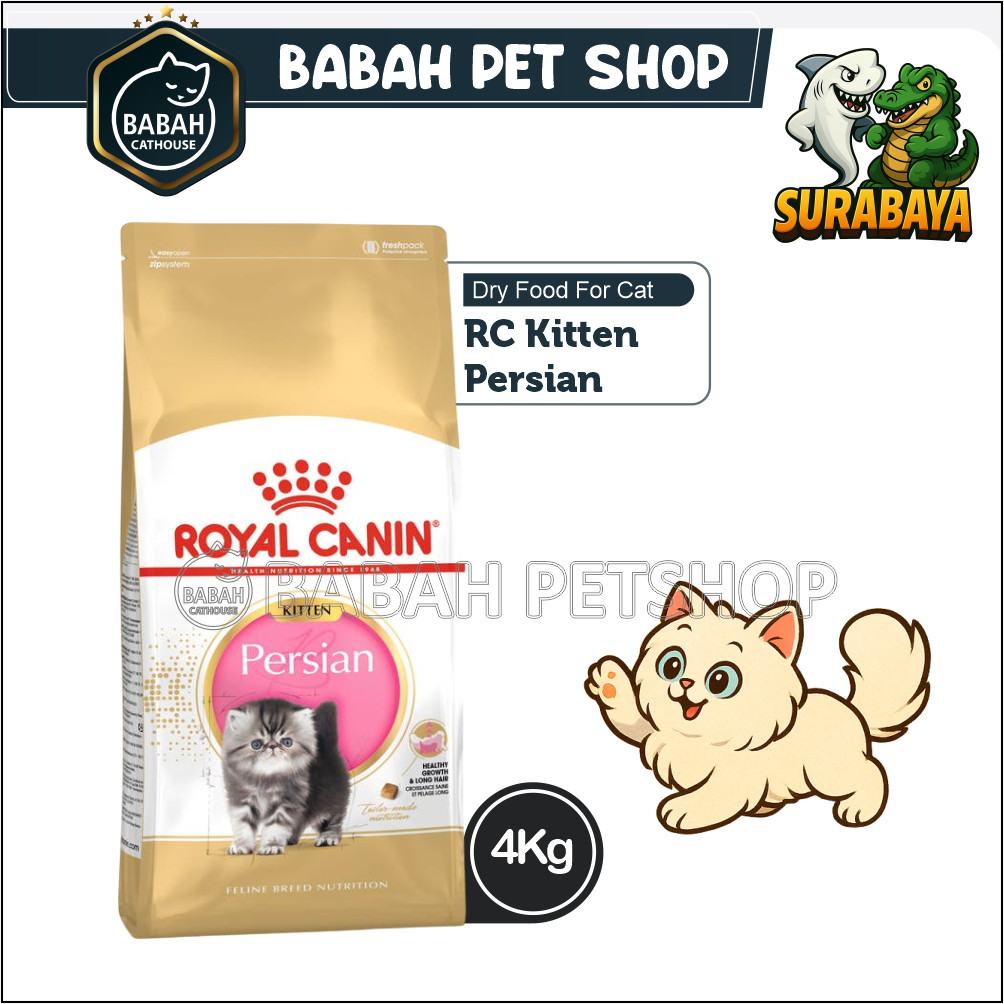 4kg ROYAL CANIN KITTEN PERSIAN cat food rc makanan anak kucing persia untuk bayi anakan persi ras hi