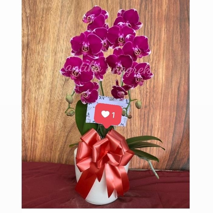 

Rangkaian Anggrek Bulan Super Isi 2 Include Pot Pita dan Ucapan - Hampers Anggrek - Glasur Putih