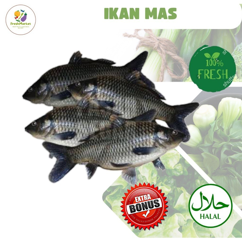 

Ikan Mas Segar Diersihkan 1 Kg Sayurinstant