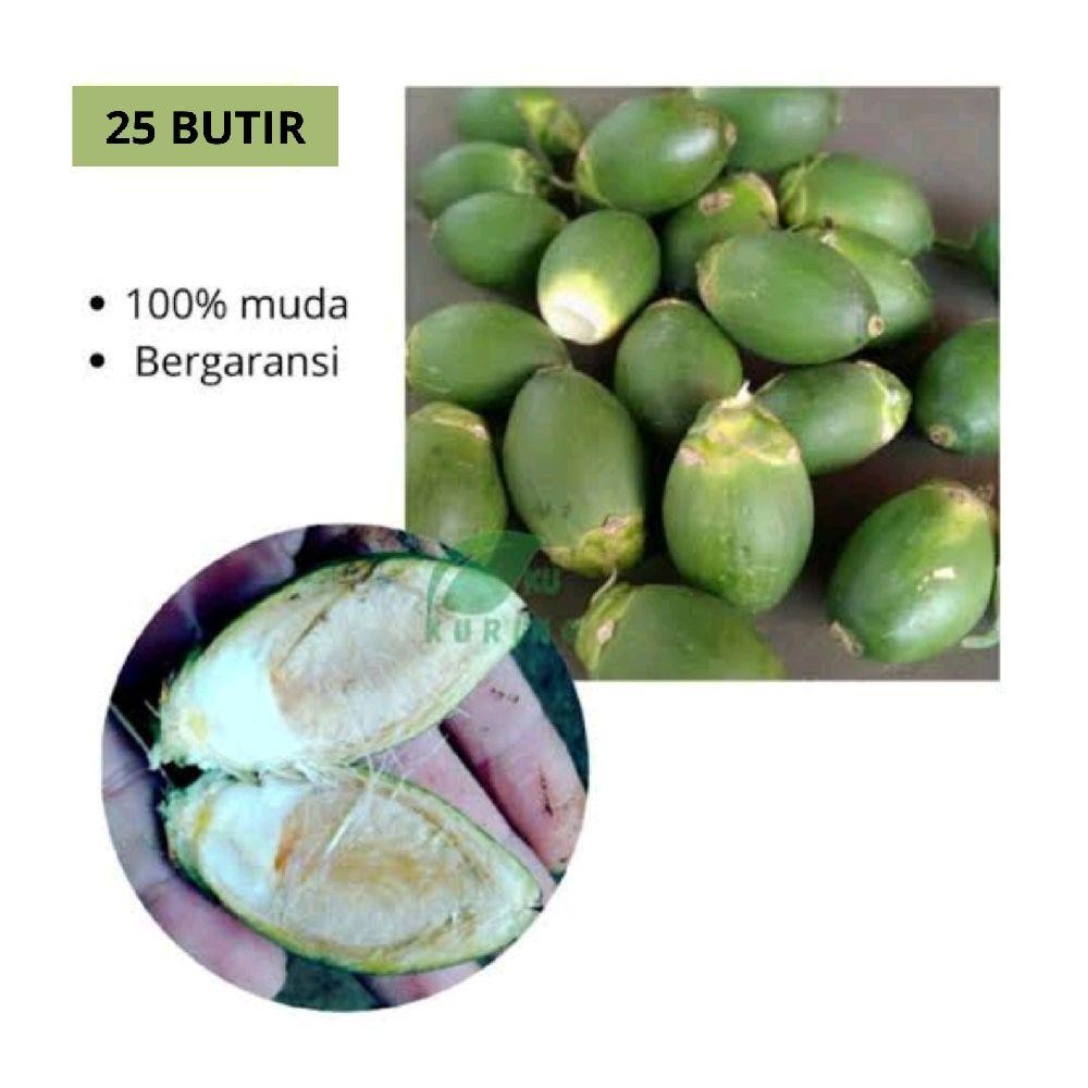 

Buah Pinang/Jambe Muda Fresh (25 Butir) Segar