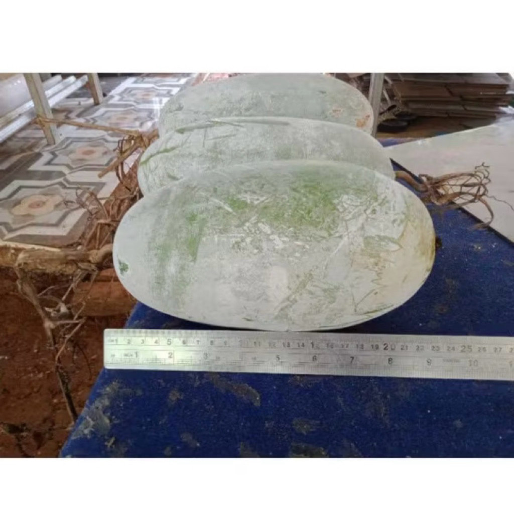 

Buah Kundur atau Bligo Obat Herbal 1kg