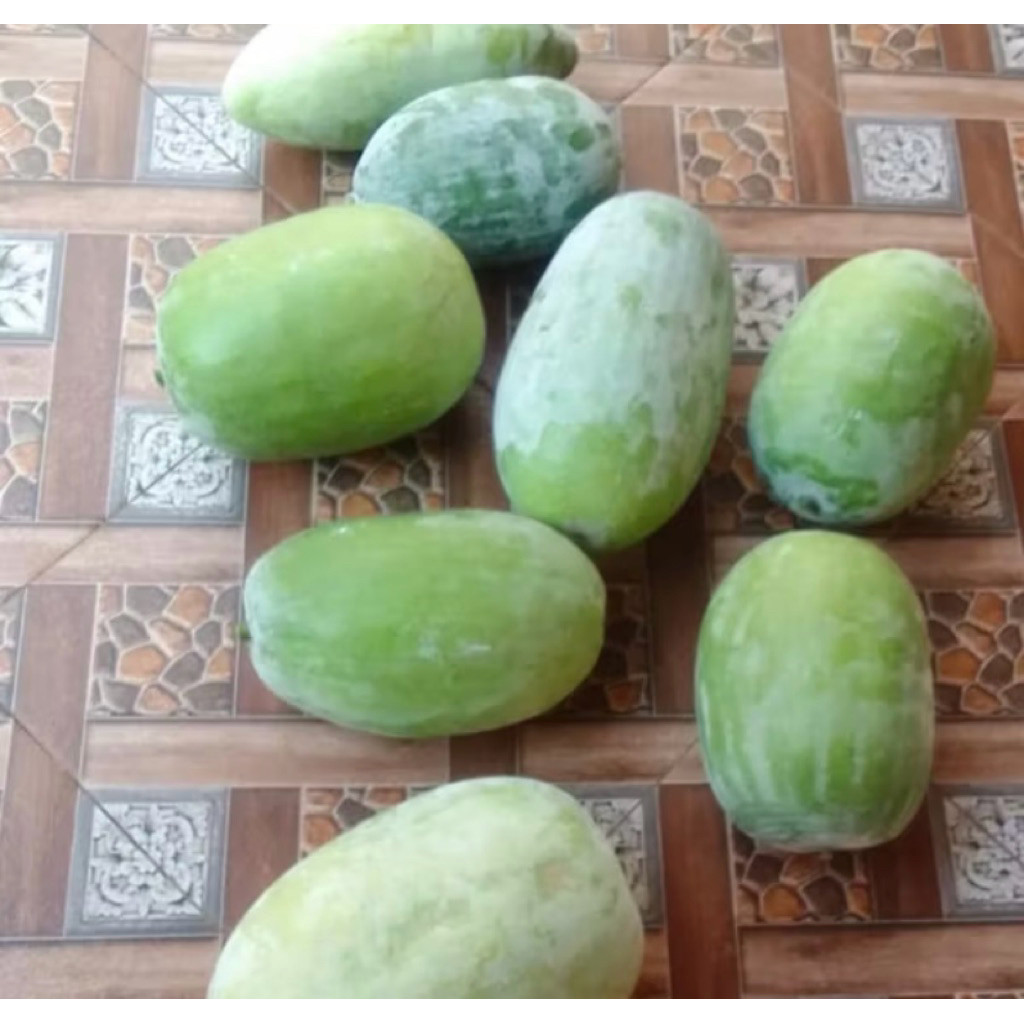 

buah bligo buah kundur beligo obat herbal 2 kg - 2,7 kg