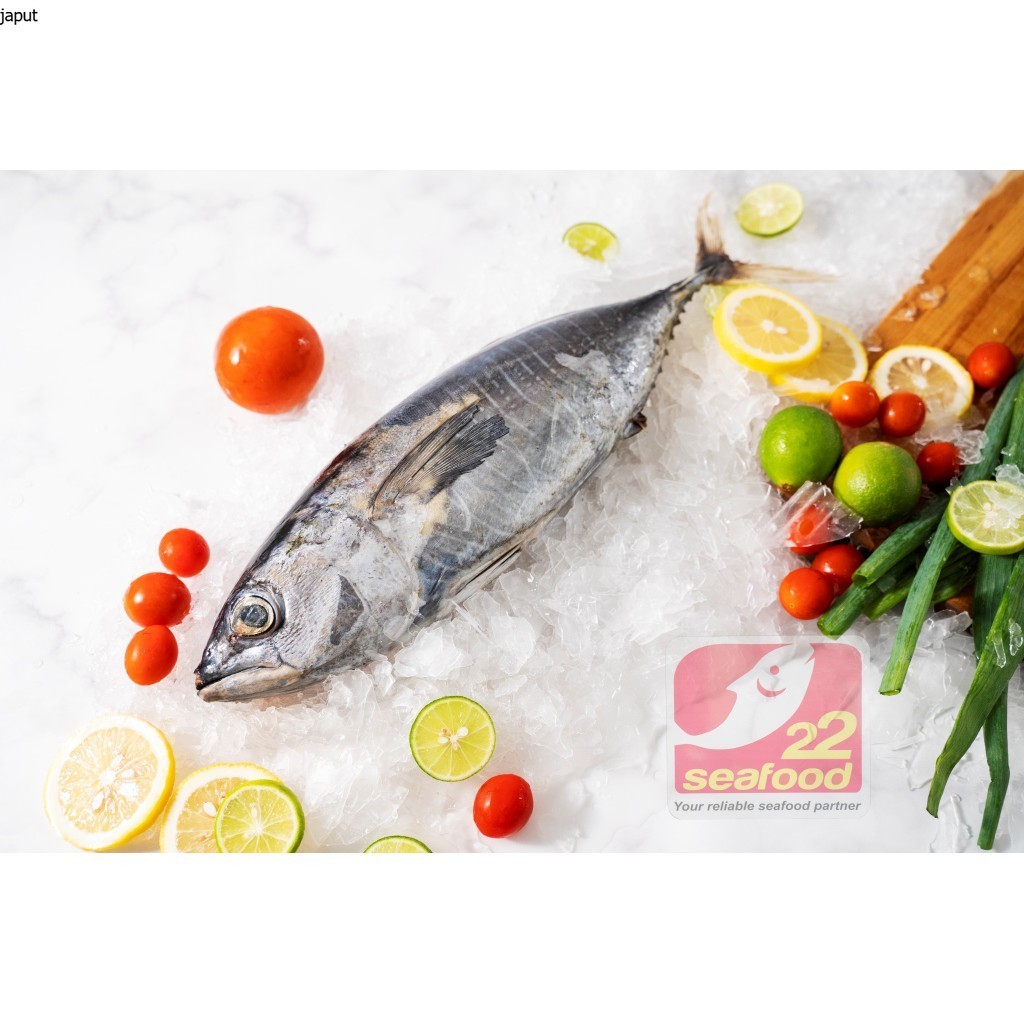 

Ikan Baby Tuna 1 kg / Baby Tuna Beku Kapal