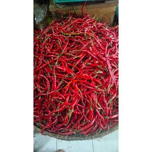 

Paket cabai merah kriting fresh murah