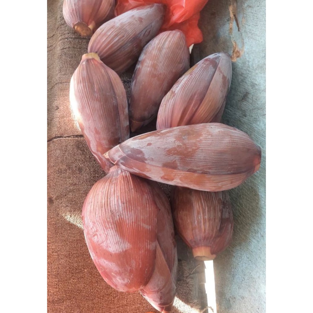 

Jantung Pisang Kepok Bisa COD Gratis Ongkir