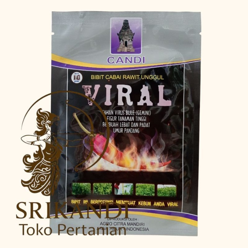 Bibit Cabe Rawit VIRAL Cap Candi 10gr – Hasil 0.6-0.7kg/Tanaman, Cocok Dataran Tinggi
