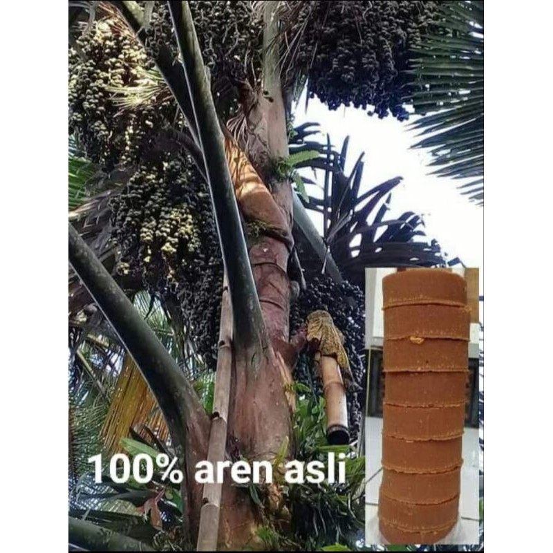 

gula aren asli/Kawung 1kg