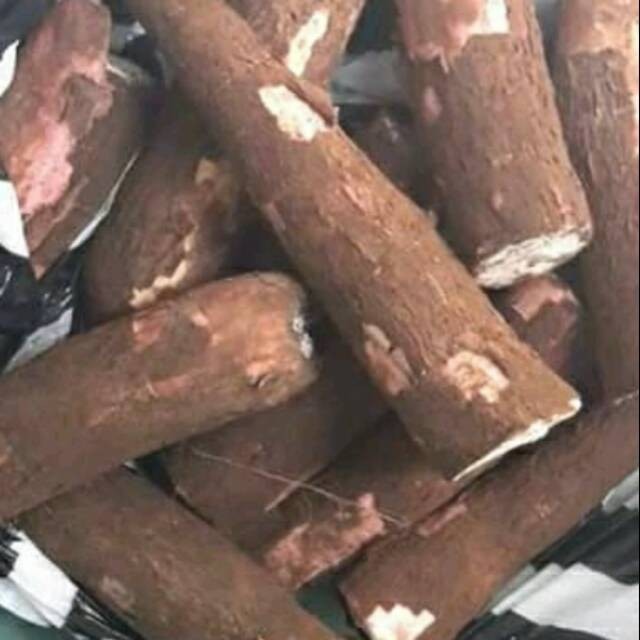 

Singkong mentah 1kg