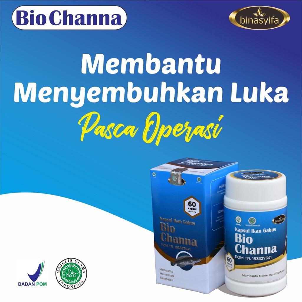 

Binasyifa Biochanna Kapsul Kutuk Premium Ikan Gabus Kaya Albumin Mempercepat Penyembuhan Luka Binasyifa Herbal Ampuh