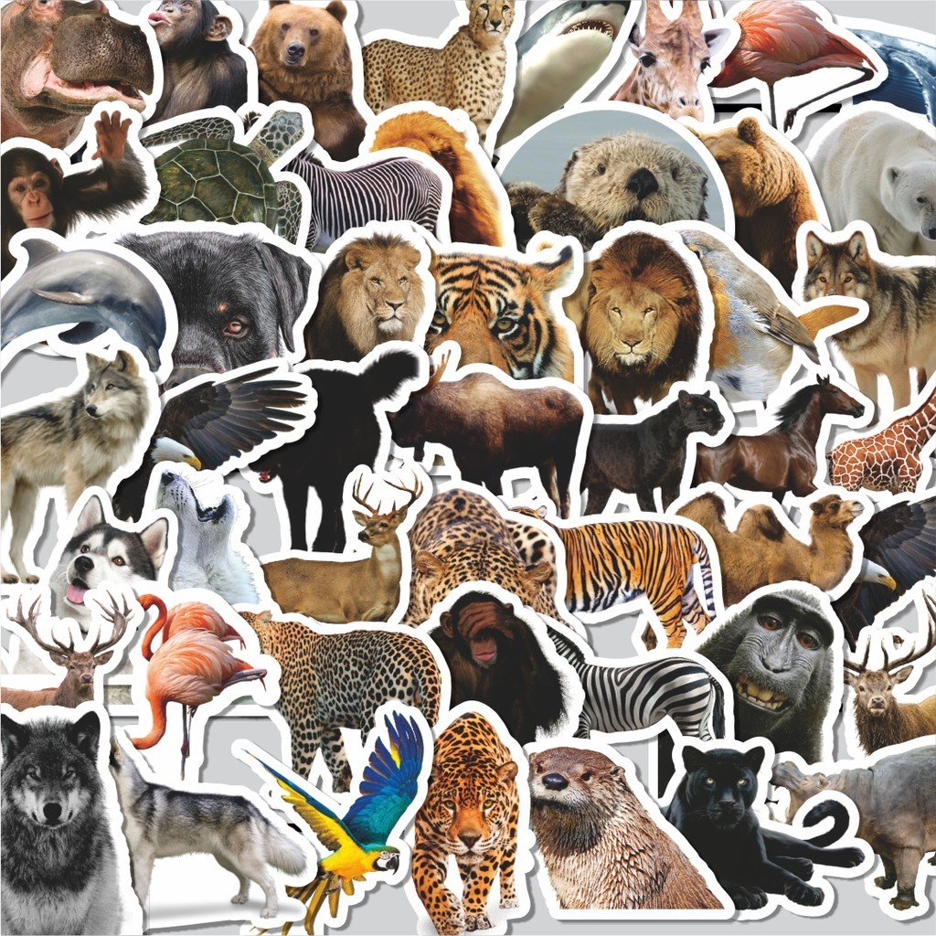 

Stiker Cutting Pack Stiker Hewan Hewan/Animal Isi 100Pcs Series Aesthetic Lucu Keren Untuk Koper Bahan Vynil