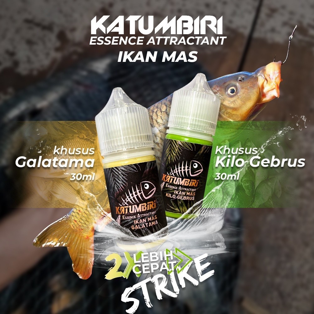 Katumbiri Ikan Mas LOMBA Harian Galatama | ORIGINAL RODUK BEST SELLER DIJAMIN NAIK PODIUM JUARA SATU