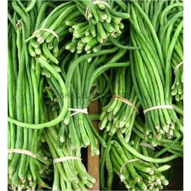 

KACANG PANJANG / LONG BEANS / FRESH VEGETABLES / VEGETABLE / SAYUR SAYURAN SEGAR 500GR / SAYUR MURAH BEST SELLER