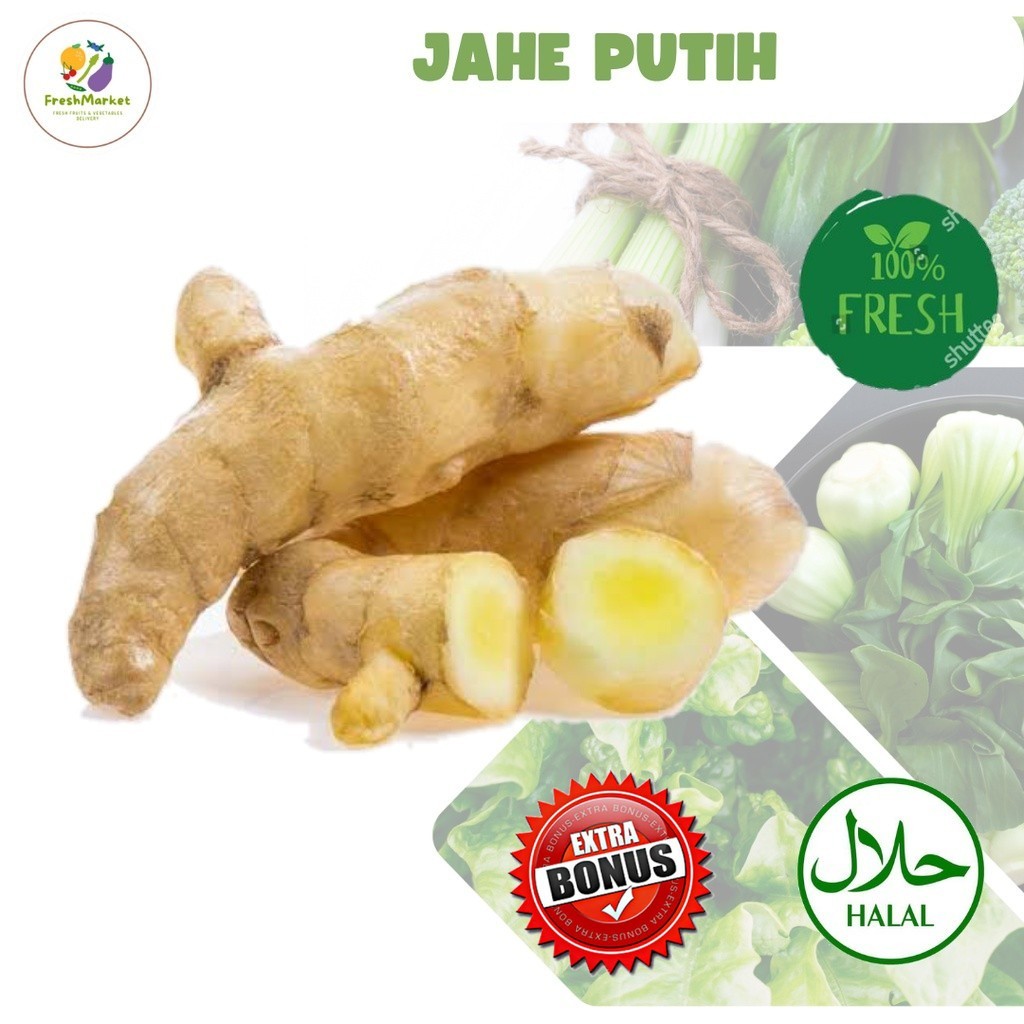 

Jahe Putih Bumbu Rempah Segar 250 Gram Sayurinstant