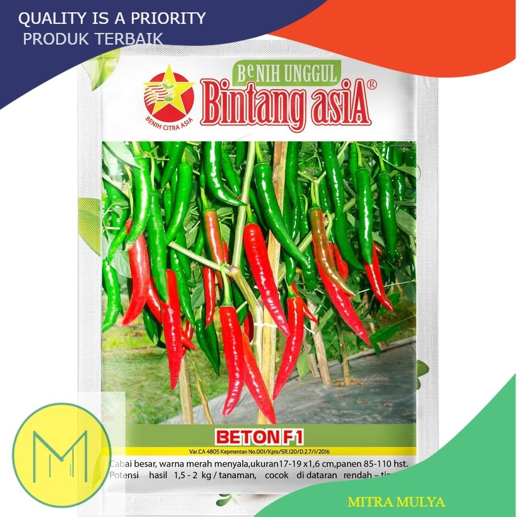 Bibit Benih Cabai Cabe Besar BETON F1 kemasan 1 Gram Bintang Asia Warna Merah Menyala Cocok Di Datar