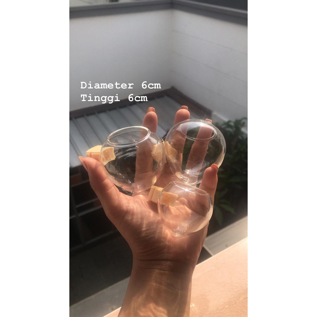 Cepuk cungkok besar HM kaca bening untuk burung kacer